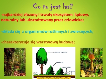 Co+to+jest+las+najbardziej+złożony+i+trwały+ekosystem+lądowy,+naturalny+lub+ukształtowany+przez+człowieka;