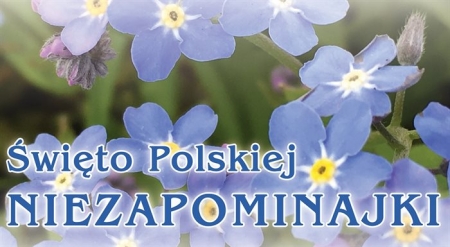 Dzień Polskiej Niezapominajki w 3 latkach