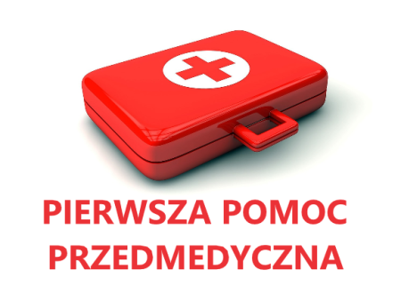 Migawka z dziecięcych warsztatów pierwszej pomocy