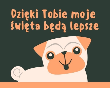 Paka dla psiaka i kociaka - podsumowanie zbiórki 